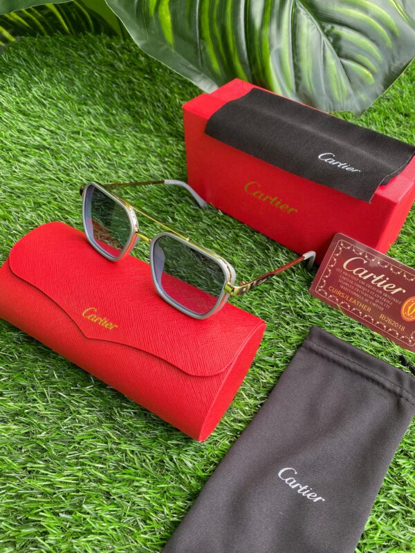 Polarized Sunglasses