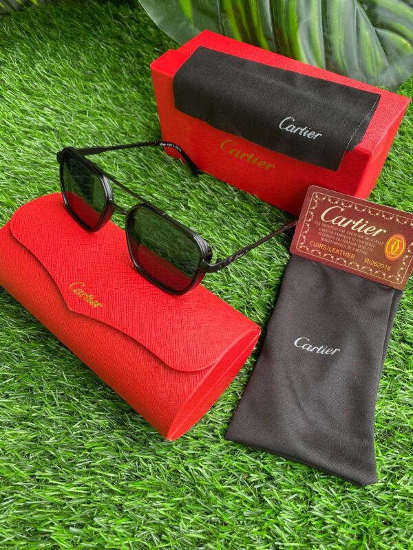 Polarized Sunglasses