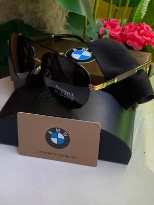 Polarized Sunglasses